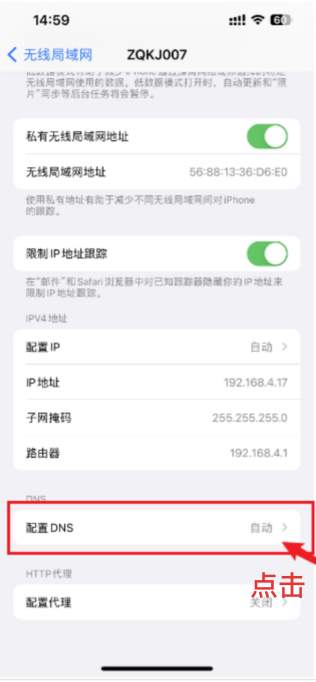 苹果手机更改DNS